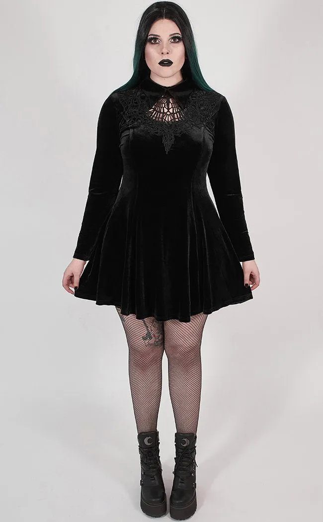 Ensnared Velvet Dress | Black | Plus Size