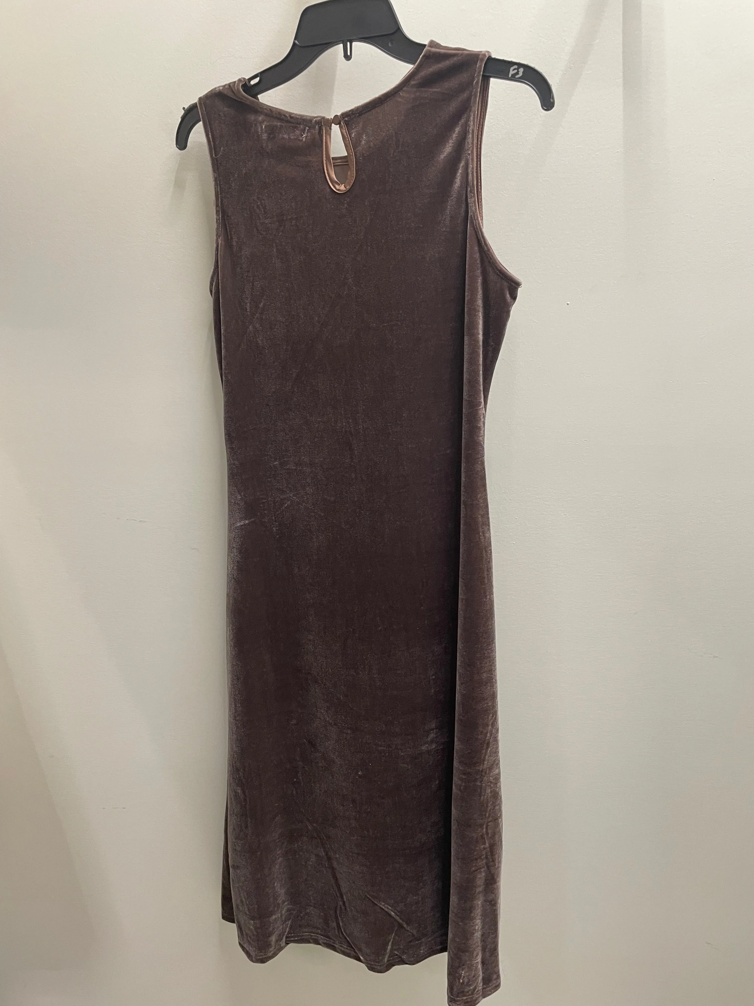 Side Cinched Velvet Dress by Paparazzi