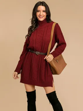 Turtleneck Long Sleeve Mini Sweater Dress