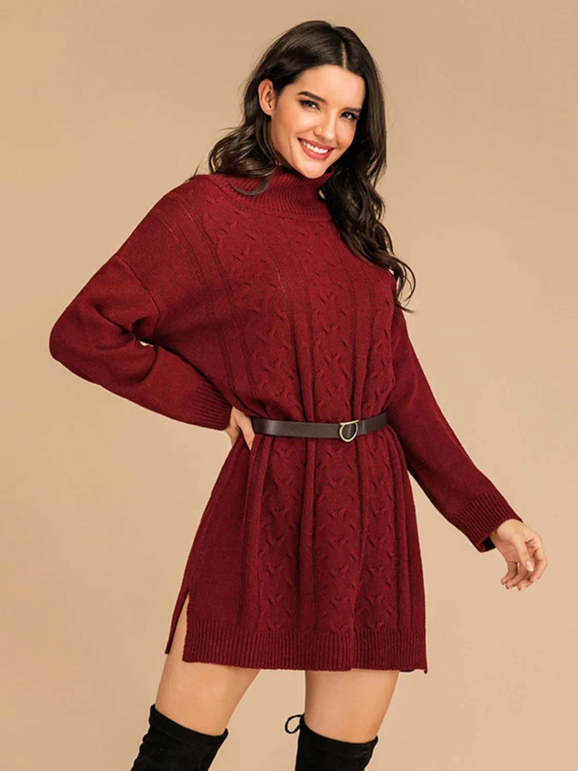 Turtleneck Long Sleeve Mini Sweater Dress